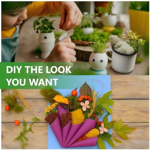 Vue 5 de Mousse De Renne Mousse