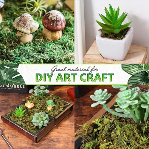 Vue 6 de Fausse Mousseg Mousse Naturelle