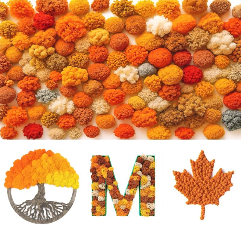 Vue 7 de Mousse De Renne Mousse