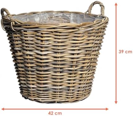 Vue 2 de Panier Plantes En