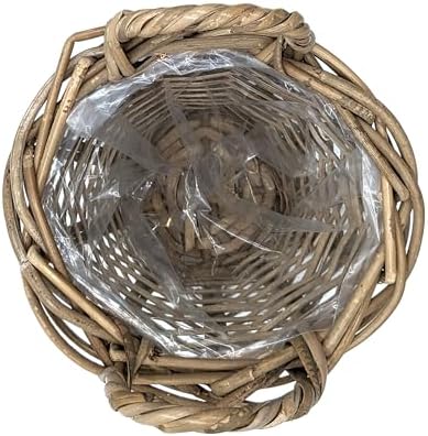 Vue 3 de Panier Plantes En