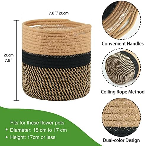 Vue 3 de Tenn Well Cm Pot