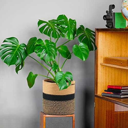 Vue 5 de Tenn Well Cm Pot