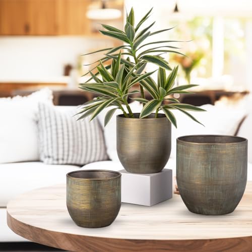 Vue 3 de Oairse Lot De Pots