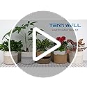 Vue 7 de Tenn Well Cm Pot