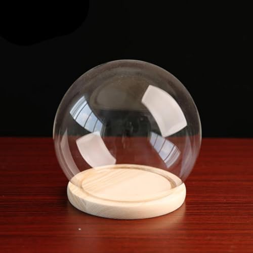 Vue 2 de Cloches En Verre Transparent