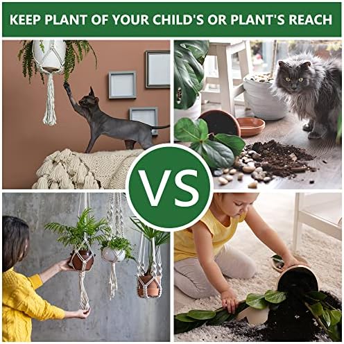 Vue 6 de Flintronic Macrame Support Pots