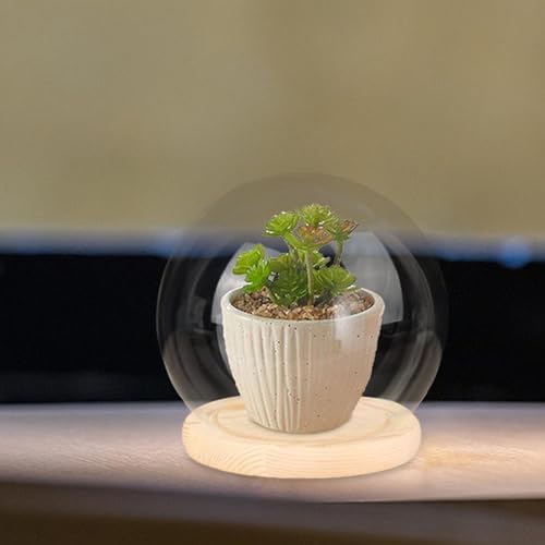 Vue 4 de Cloches En Verre Transparent