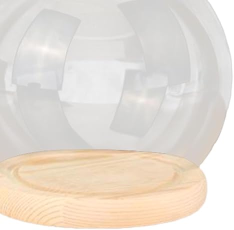 Vue 6 de Cloches En Verre Transparent