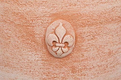 Vue 3 de Biscottini Orcio En Terre