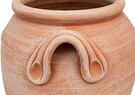 Vue 5 de Biscottini Orcio En Terre