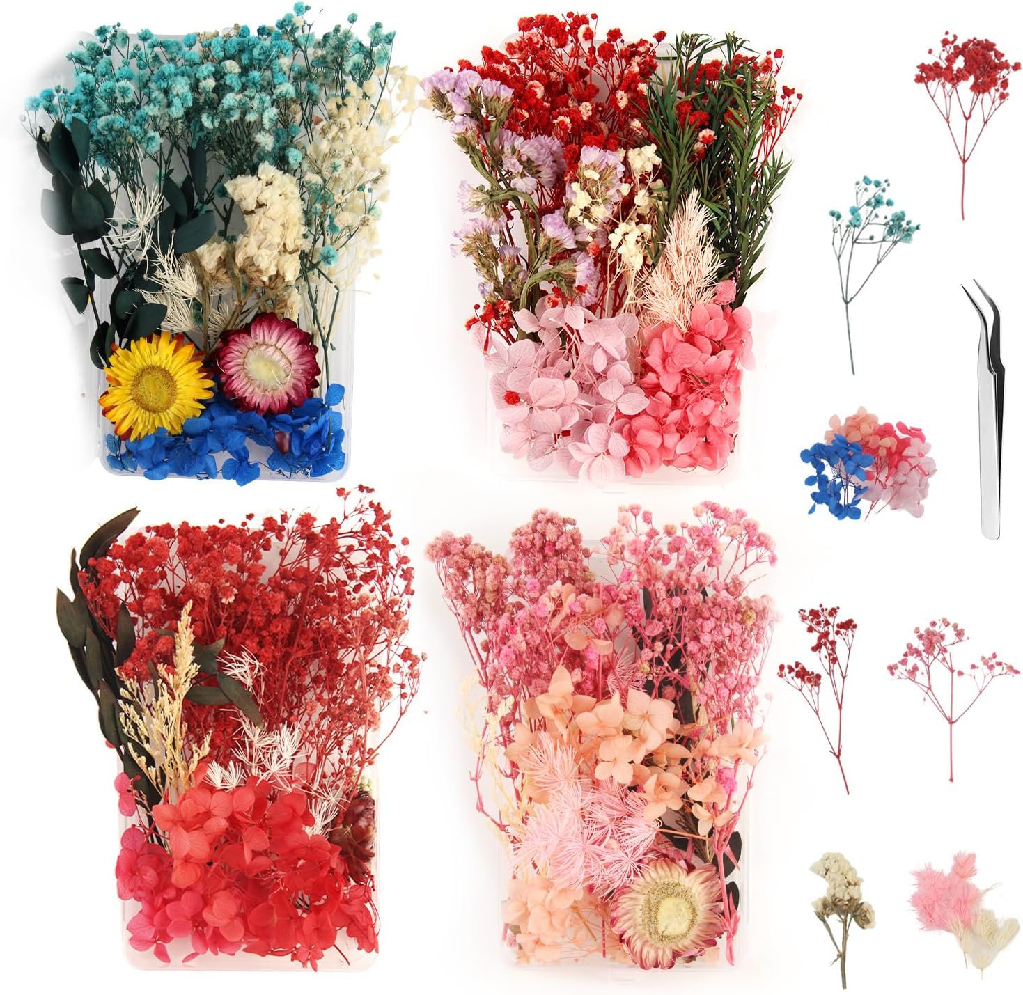 Boites Fleur Seche Fleurs