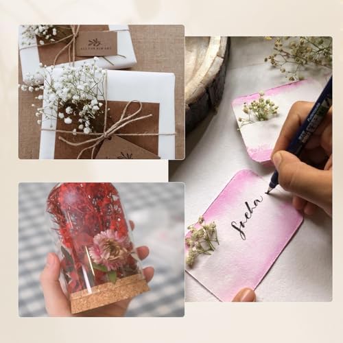 Vue 4 de Boites Fleur Seche Fleurs