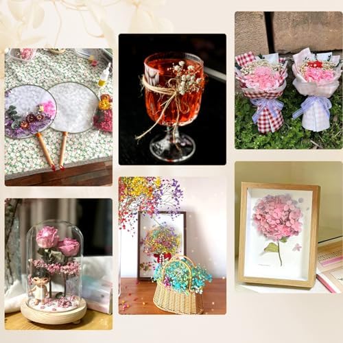 Vue 5 de Boites Fleur Seche Fleurs