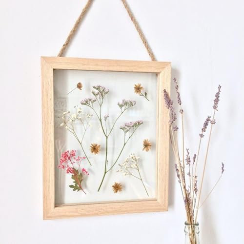 Vue 6 de Boites Fleur Seche Fleurs