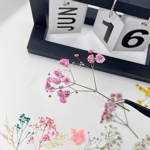 Vue 7 de Boites Fleur Seche Fleurs