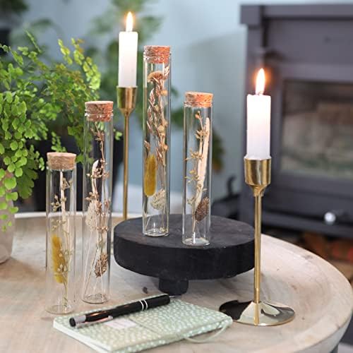 Vue 2 de Comforder Fleurs Sechees Dans