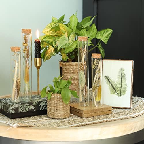 Vue 4 de Comforder Fleurs Sechees Dans