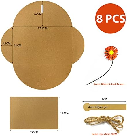 Vue 2 de Zwznbl Styles Differents Denveloppes