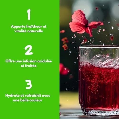 Vue 2 de Fleurs Dhibiscus Bio Fleurs