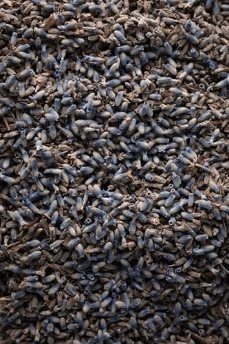 Vue 5 de Biojoy Fleurs De Lavande