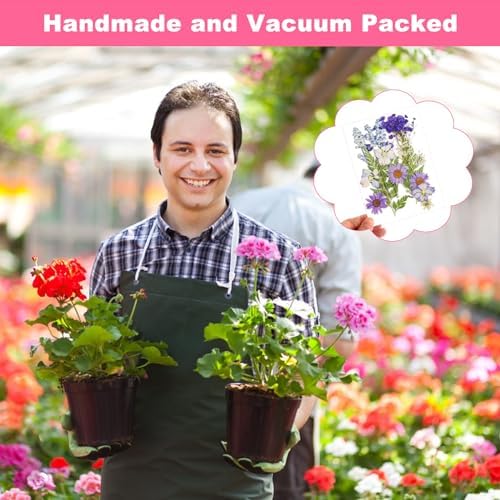 Vue 5 de Nviyam Pcs Fleurs Sechees