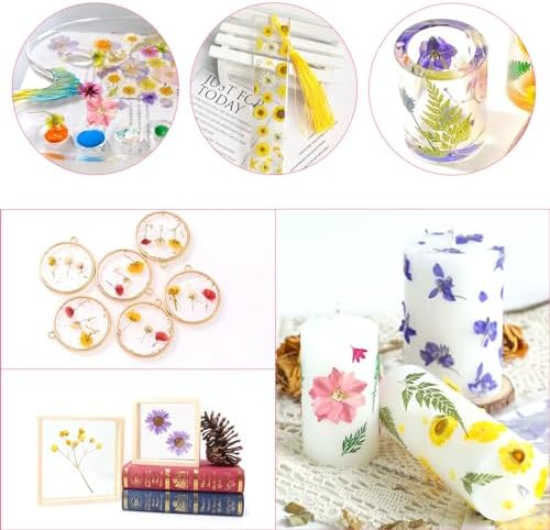 Vue 6 de Nviyam Pcs Fleurs Sechees