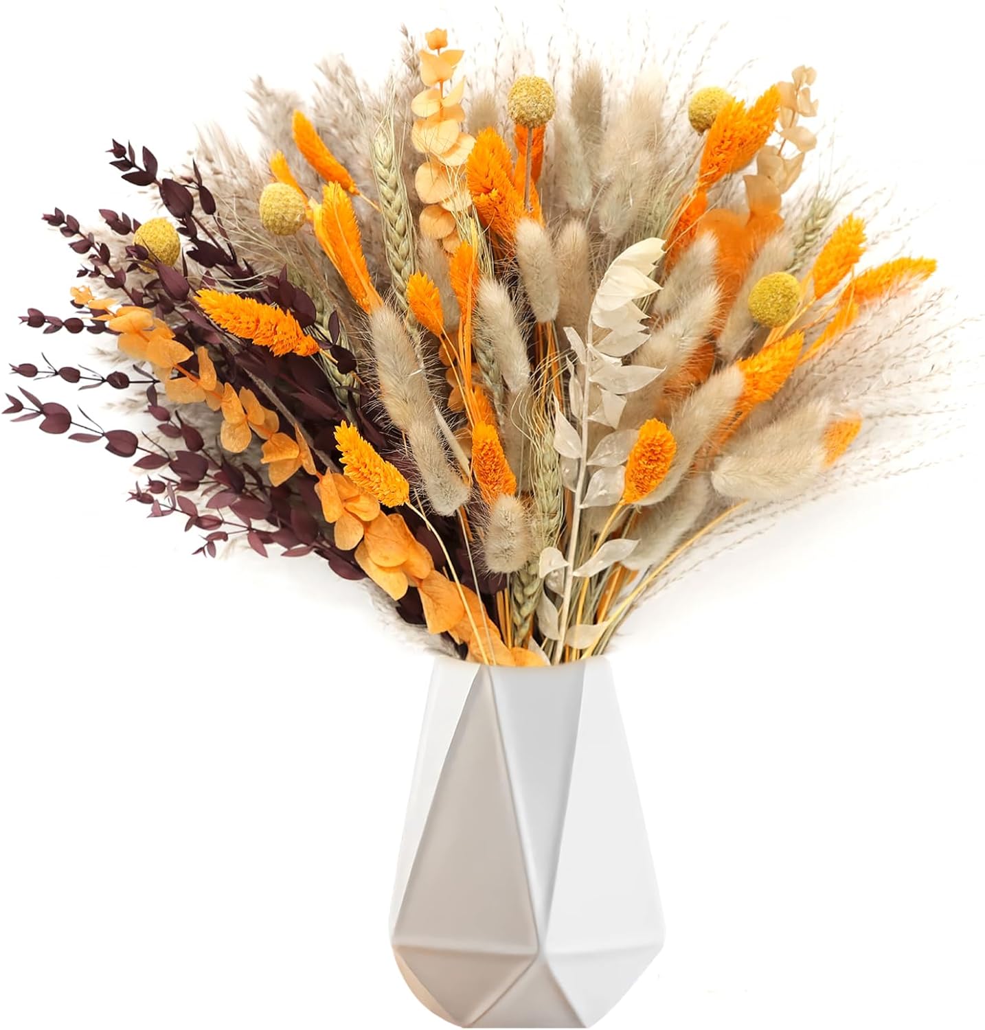 Pieces Pampa Sechees Naturelle