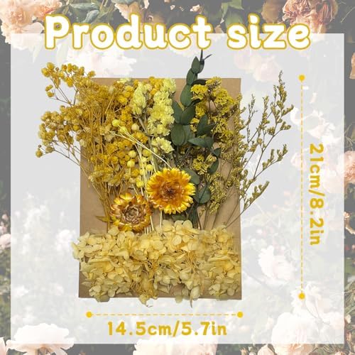 Vue 2 de Fleurs Sechees Fleurs Pressees