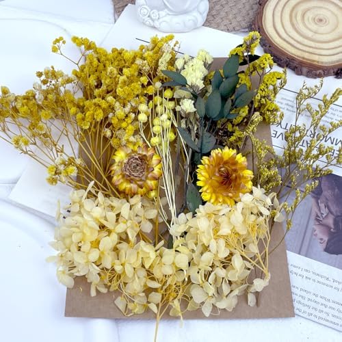 Vue 3 de Fleurs Sechees Fleurs Pressees