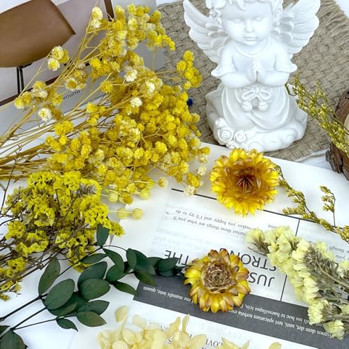 Vue 4 de Fleurs Sechees Fleurs Pressees