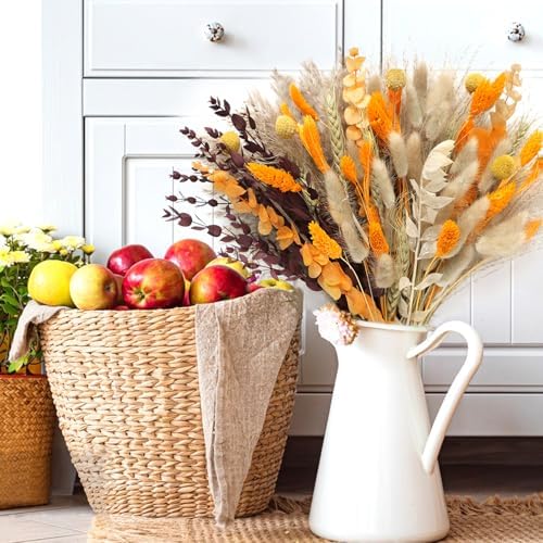 Vue 5 de Pieces Pampa Sechees Naturelle