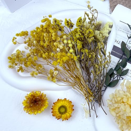 Vue 5 de Fleurs Sechees Fleurs Pressees