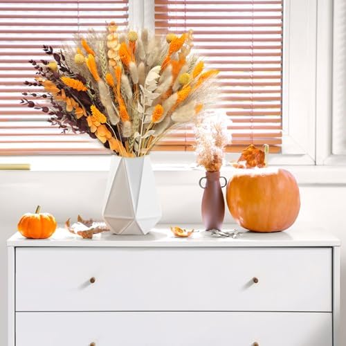 Vue 6 de Pieces Pampa Sechees Naturelle