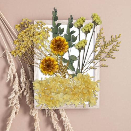 Vue 6 de Fleurs Sechees Fleurs Pressees