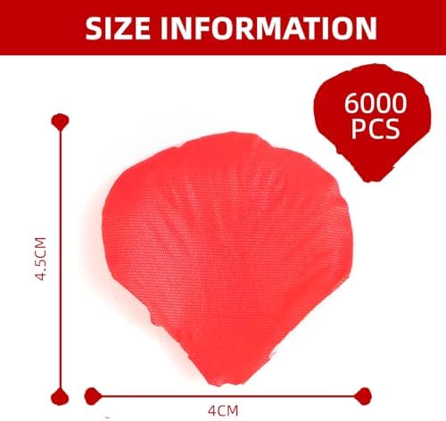 Vue 2 de Petale De Rose Rouge