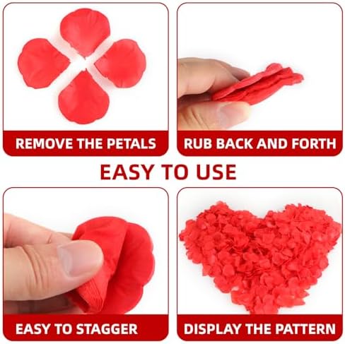 Vue 3 de Petale De Rose Rouge