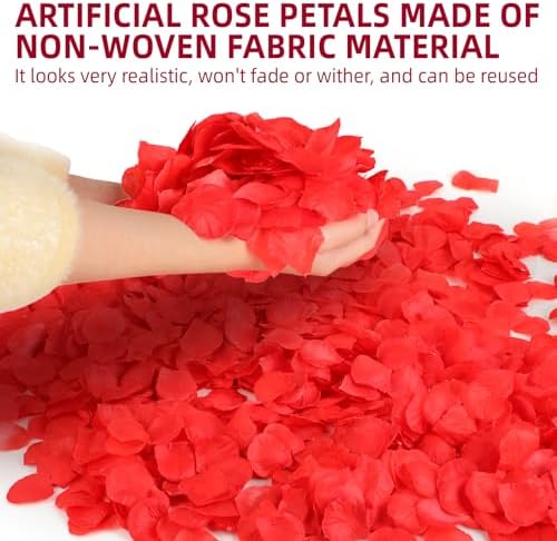 Vue 5 de Petale De Rose Rouge