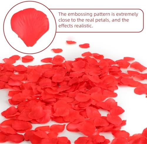 Vue 6 de Petale De Rose Rouge