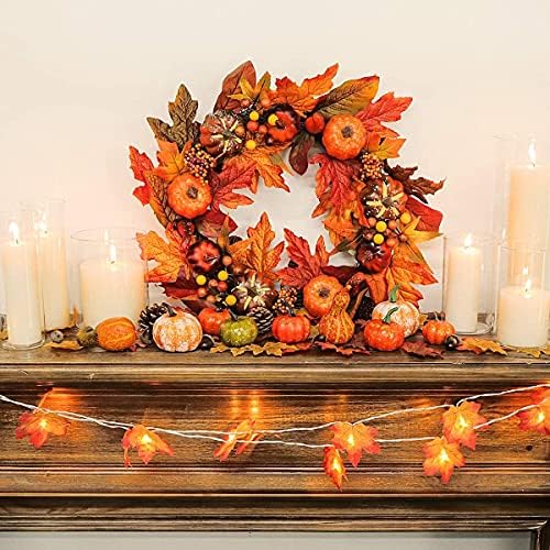 Vue 6 de Pieces Decoration Automne De