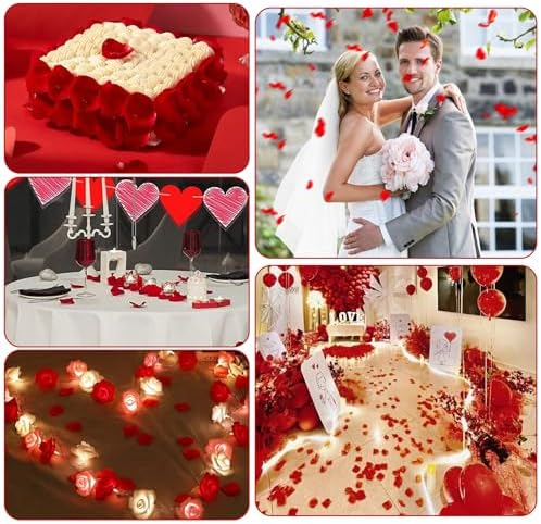 Vue 7 de Petale De Rose Rouge