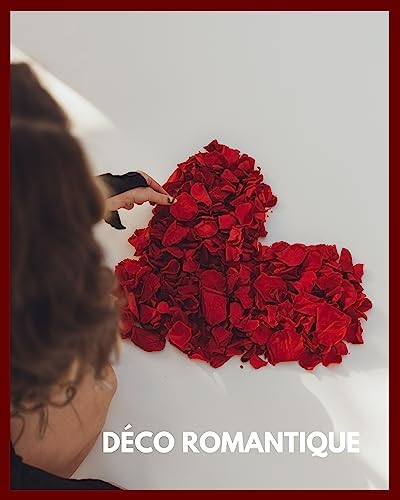 Vue 4 de Petales De Roses Seches