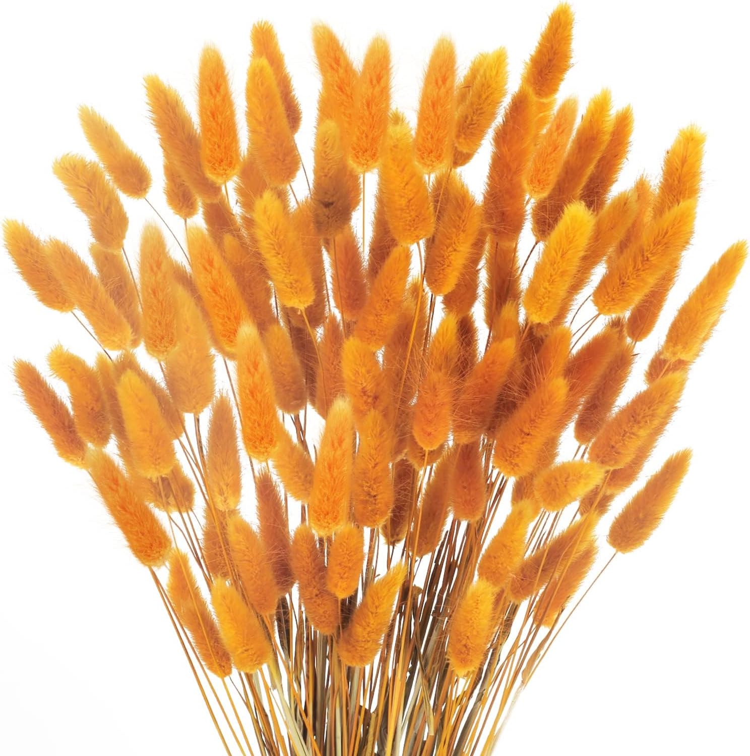 Huaesin Pcs Herbe De