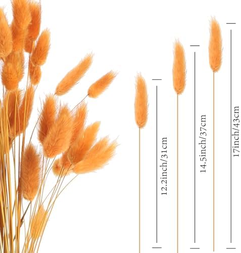 Vue 2 de Huaesin Pcs Herbe De