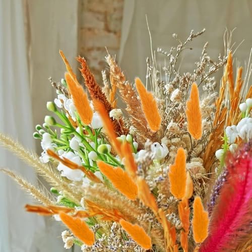 Vue 6 de Huaesin Pcs Herbe De