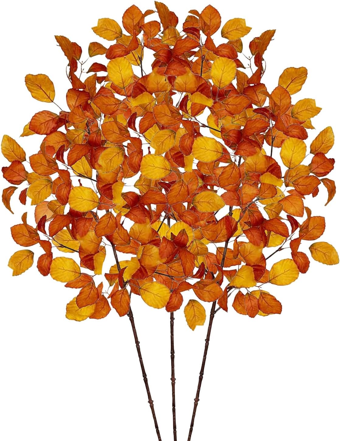 Décoration par Saison - Fleurs séchées et compositions françaises authentiques