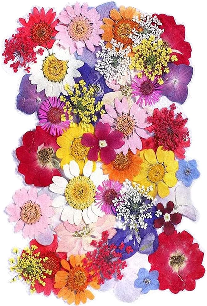 Cenpek Fleurs Pressees Sechees