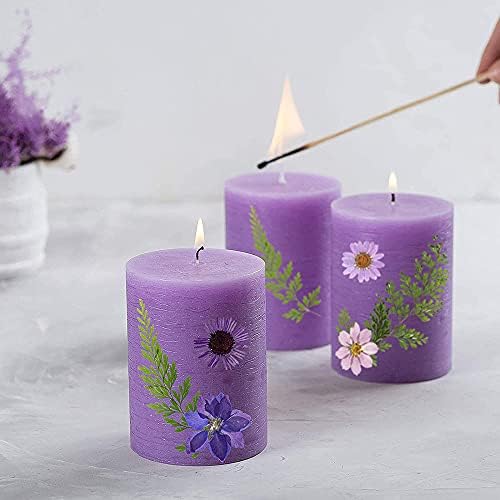 Vue 4 de Cenpek Fleurs Pressees Sechees