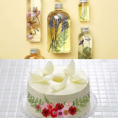 Vue 5 de Cenpek Fleurs Pressees Sechees