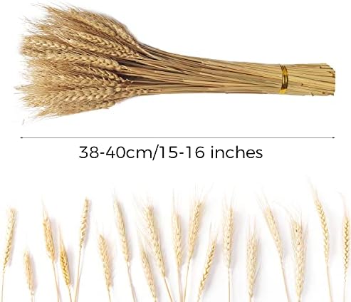 Vue 2 de Coolcrafts Tiges De Ble